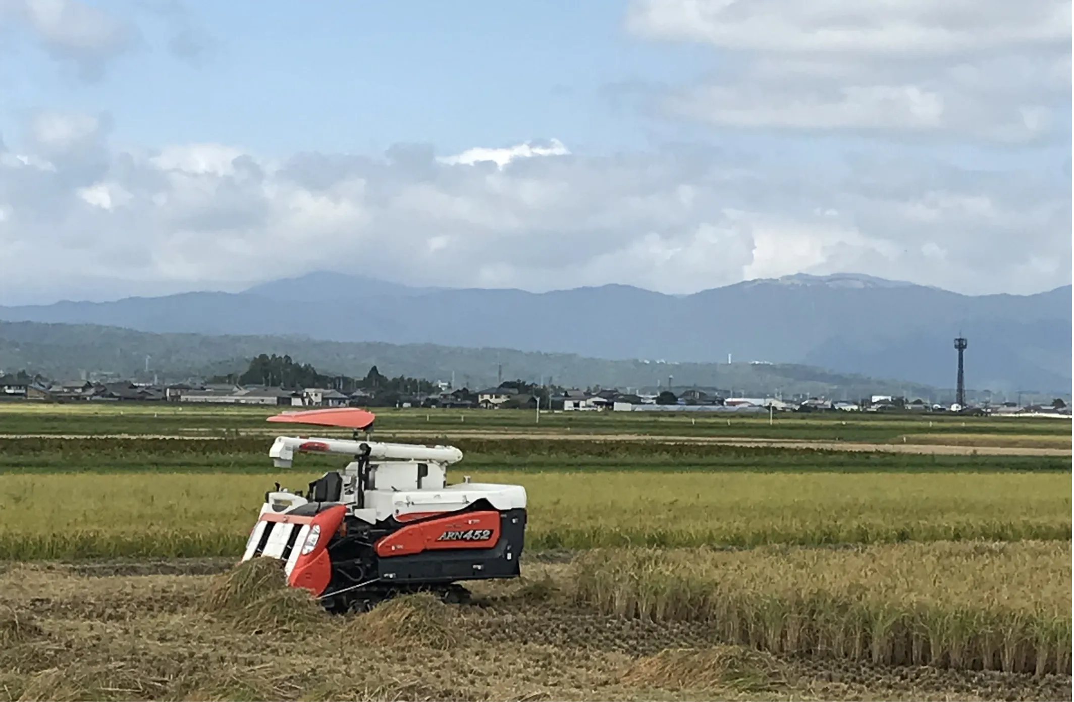 近江米のイメージ画像