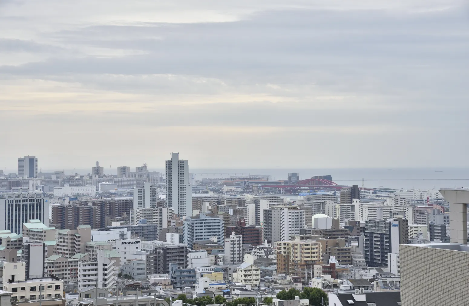 屋上からの景色