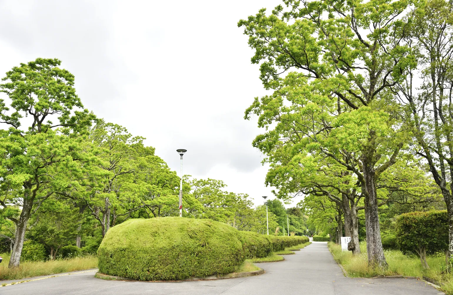 北千里公の画像園