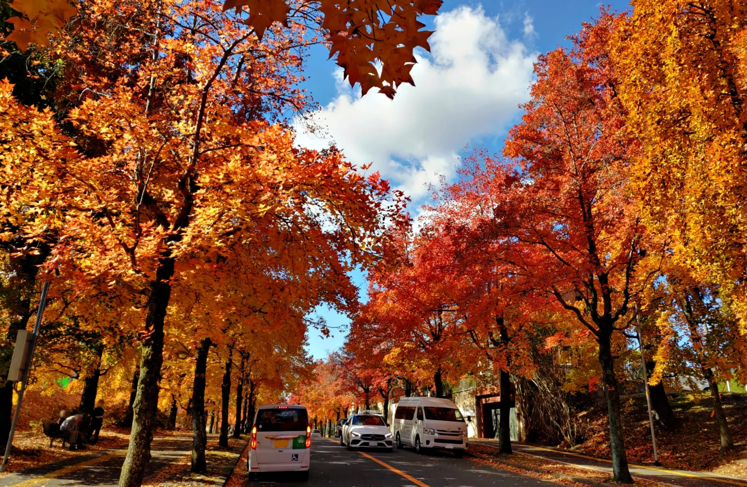 北千里の三色彩道と千里中央公園の画像