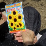 「ひまわりの種を植えよう！」＜アクティブライフ神戸・グループホーム＞
